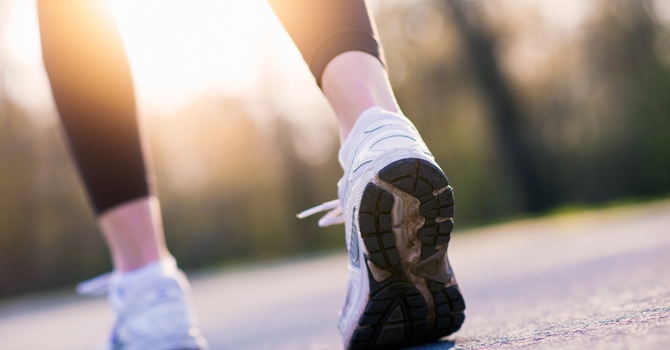 Physical Rehabilitation